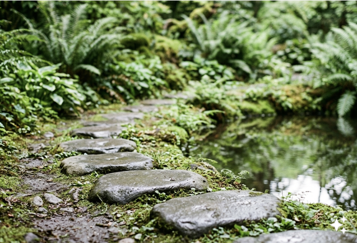 Stone path through a moss garden